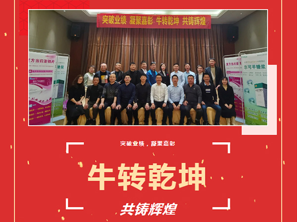 突破業(yè)績、凝聚嘉彰、牛轉乾坤、共鑄輝煌